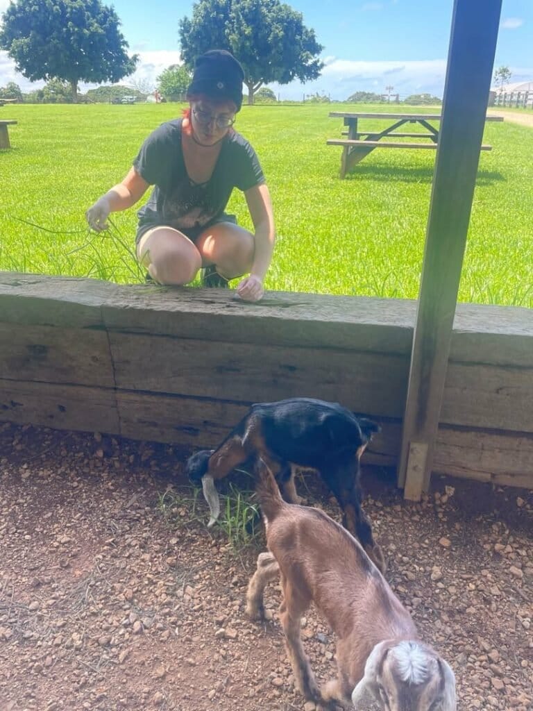 A person with a disability smiles while hand-feeding a kangaroo at a wildlife park in Queensland, Australia as part of an NDIS social participation activity.