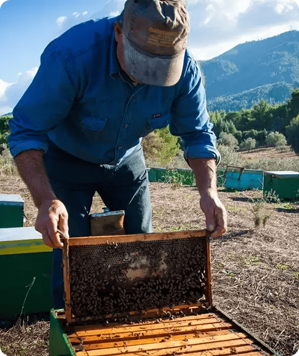A man in a blue shirt and cap works with a beehive frame outdoors in a rural Toowoomba setting, representing Jango’s support for NDIS participants engaging in unique hobbies, skill-building, and community-based activities.