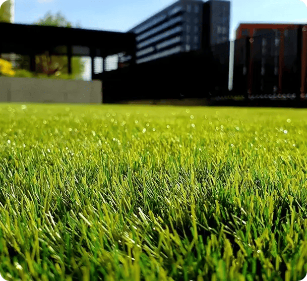 A low-angle shot of a perfectly manicured, bright green lawn, representing the professional yard maintenance services that keep participant homes safe and accessible.