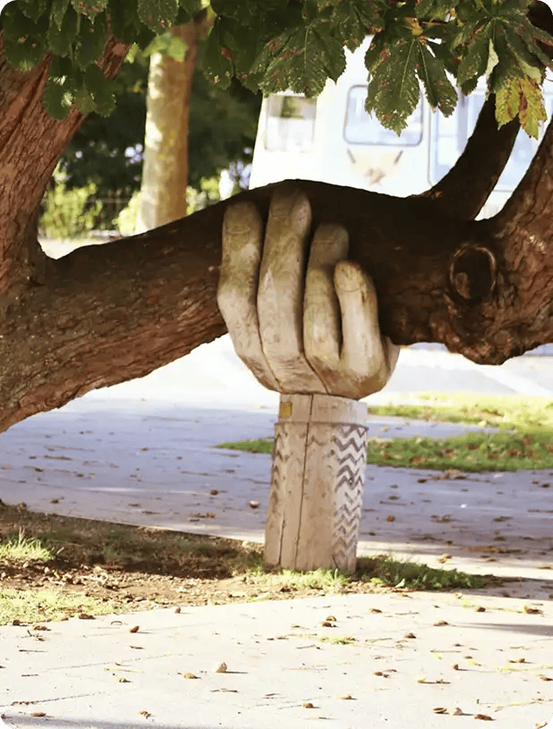 A close-up of a single hand gently holding a small tree seedling, representing the personal empowerment and growth-focused support provided by Jango's in-home aged care.