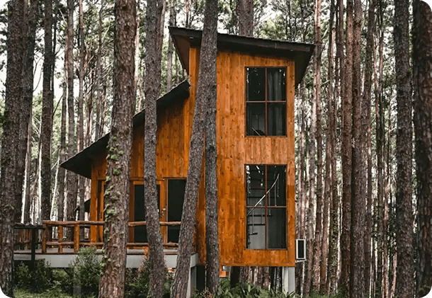 A modern, two-story wooden cabin with large windows nestled among tall pine trees, highlighting Jango’s diverse range of peaceful and restorative respite options for NDIS participants.