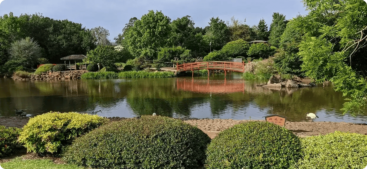 A scenic view of the Ju Raku En Japanese Garden in Toowoomba, featuring a red bridge over a peaceful pond, representing Jango’s local NDIS support coordination and community participation services in the Darling Downs region.